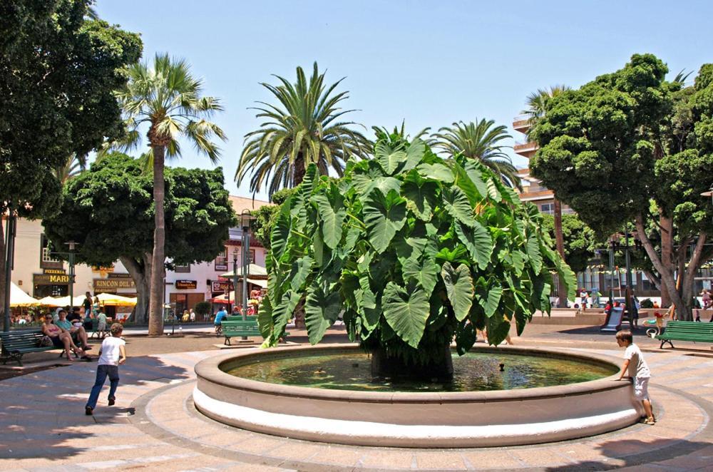 דירות פוארטו דה לה קרוז Heaven In Canary Islands 88 מראה חיצוני תמונה